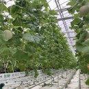 미래농장2 이미지