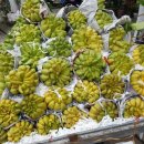 기초베트남어 배우기 과정 이미지