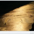 청벽가든 이미지