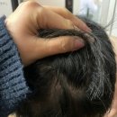 [헤나샴푸바] 썬양의자연주의 샴푸바 약산성수제비누 샴푸바입문자에게 추천