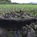 동일리 지석묘 4호 이미지