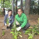 온천2동-4 이미지