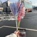코아폭스스포츠