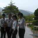 핑크 스파이더 이미지