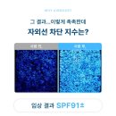 업에어솔루션 | [에어무드] 핑크 톤업 웨이브 선크림 / SPF 91± / 사용후기 / 제형 / 색감 / 솔직 후기