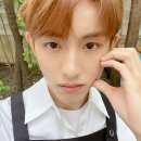 재미드림 이미지