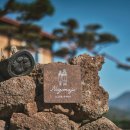 노고마주 이미지