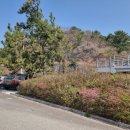 장복하늘마루산길(편백숲 쉼터 옆) 이미지