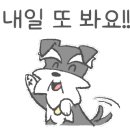 소망동물병원 이미지