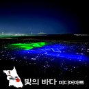 남문전기조명 | 낮보다 빛나는 밤바다! 속초해수욕장 미디어아트 주차 위치 시간