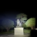 동화소공원 | 공룡능선 망한 이야기(25.10.3.금)