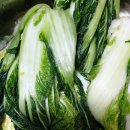 청방 이미지