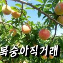 형준농장 이미지