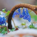 대한민국무공수훈자회 동래구지회 이미지