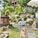 씨엘 | 강릉 씨엘(CIEL) 내돈내산 후기: 뷰부터 서비스까지 완벽했던 힐링 스팟