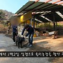 염소농장 이미지
