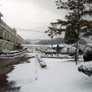부론중학교 Daum카페