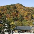 용문사