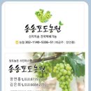 송송스토어 이미지