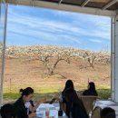 매화2길 | [평택카페 추천]죽백화 커피클럽, 매화꽃을 닮은 배꽃 느좋카페 후기