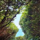 The 백갈비 | [2일차] 제주도 3박 4일 여행 동남코스 (섭지코지 -> 산도롱맨도롱 -> 큰엉해안경승지 -> 더클리프)