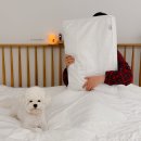 포렌하우스 이미지