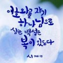 하늘과열매(주) 이미지