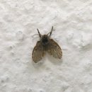 방이습지 화장실 이미지