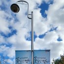 꽃길만걷자6 | 인제에서 꽃길만 걷자! 인제가을꽃축제