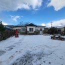 고산초등학교 이미지