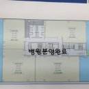 유승메디칼 네이버블로그