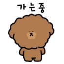 도그트리 이미지