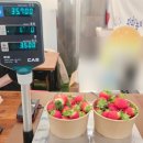 팜팜농장 | 용인 딸기체험 용인 팜팜 놀이터 딸기농장 예약 가격