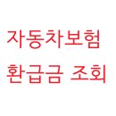 ★자동차보험 환급, 조회 후 더 낸 보험료 돌려... 이미지