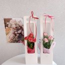 사림동257 이미지