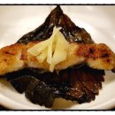 일루장어 이미지