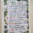 바다꽃소바&해물칼국수 맛짱족발보쌈 | 대전 둔산동 해물칼국수) &#34;바다꽃소바 해물칼국수&#34; 보쌈 불족 정식 후기