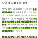 작약 효능 알아보기 이미지