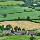 황기농장 이미지