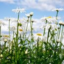 동의명가한의원 이미지