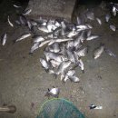 남촌낚시터 이미지