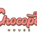 에브리데이 펫 이미지