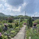 한산다향