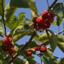 한창농장 이미지