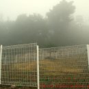 영원천태산농장 이미지