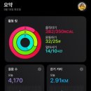 타임스탬프 - 117835 | 타임스탬프