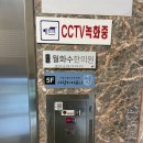 벧엘동물병원 | [사랑니발치후기] 사랑이아프니 매복사랑니 발치 하악편1(feat.세상쫄보) 예약팁, 주차, 통증, 지혈