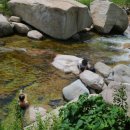 여우별민박 이미지