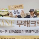 주식회사 나비야 이미지