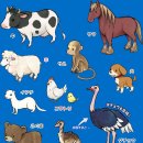 민영목장 이미지